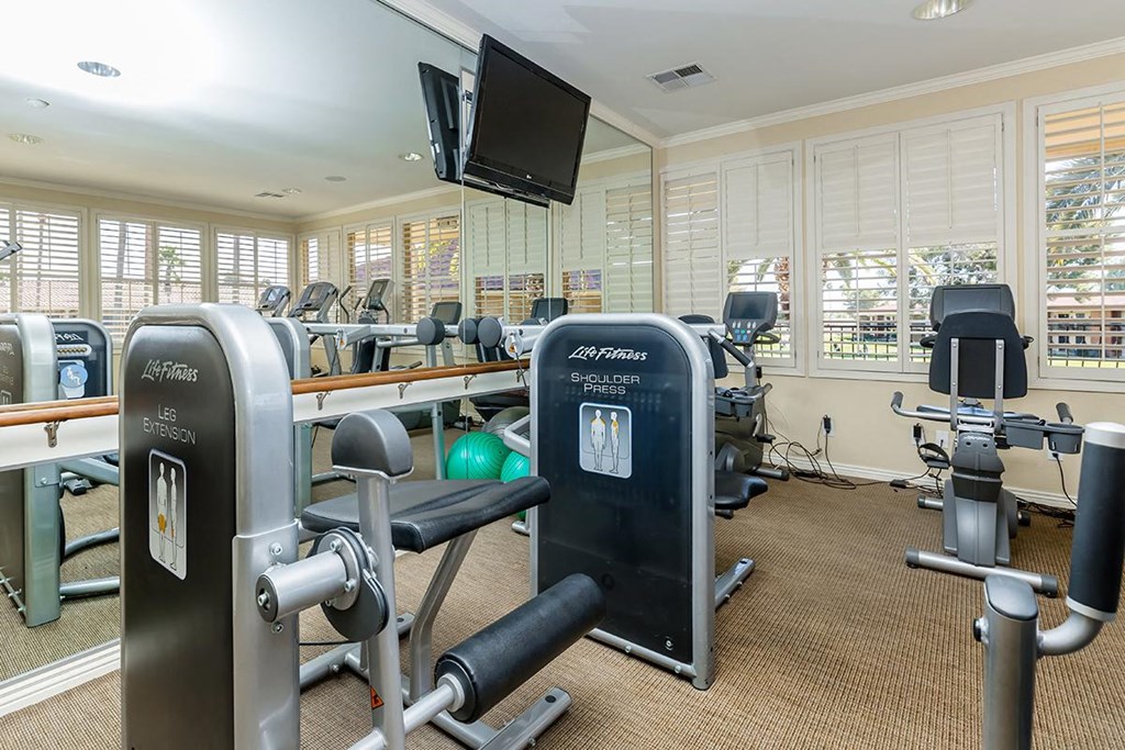 a gym with cardio machines and weights and a television