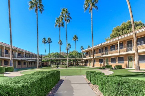 Mesa Royale 55+ Active Community