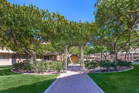 Mesa Royale 55+ Active Community