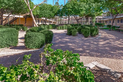 Mesa Royale 55+ Active Community