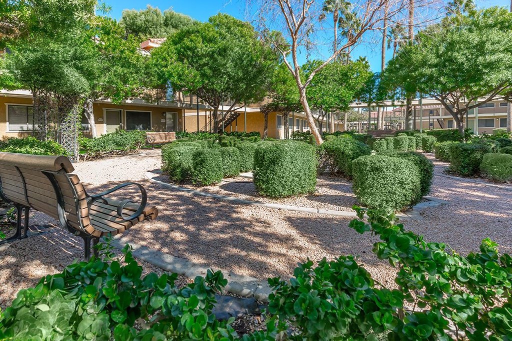 a park bench in a courtyard with trees and bushes