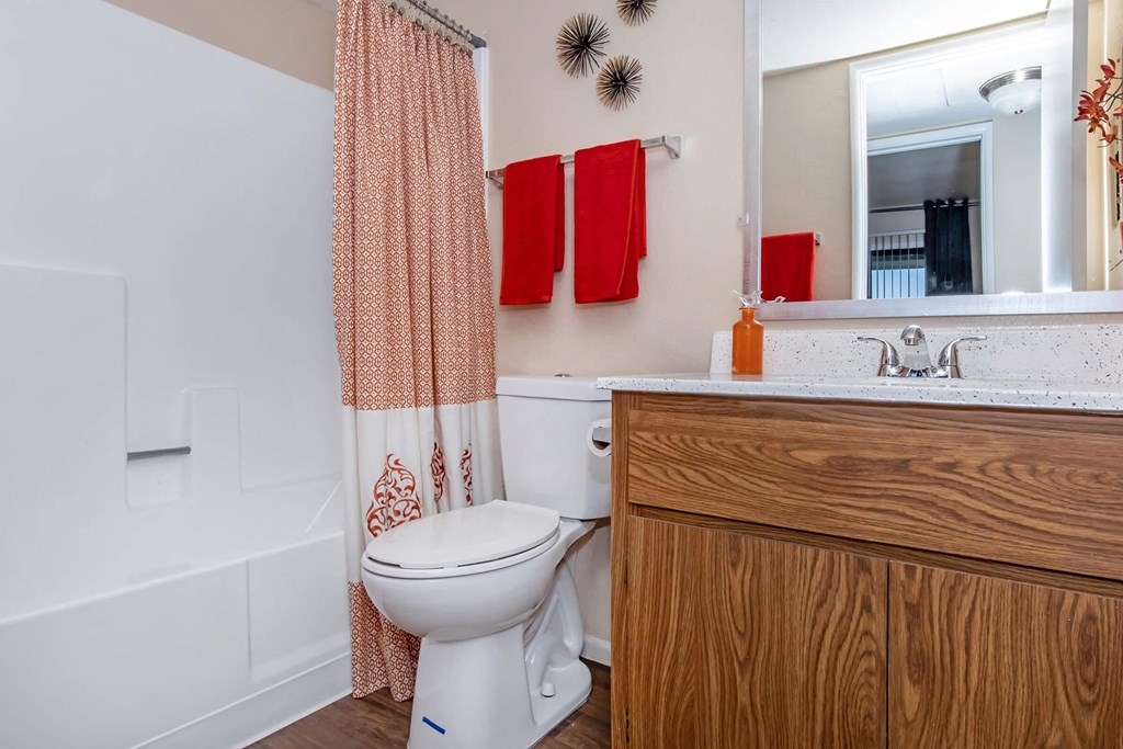 a bathroom with a toilet and a sink and a mirror