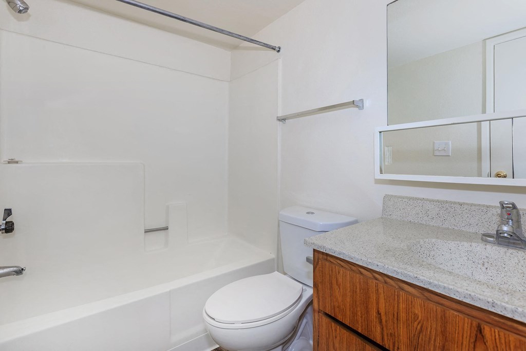 a bathroom with a toilet and a tub and a sink