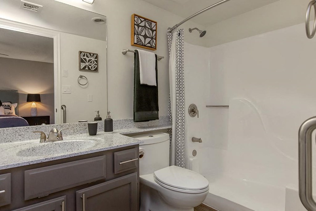 a bathroom with a sink and a toilet and a shower