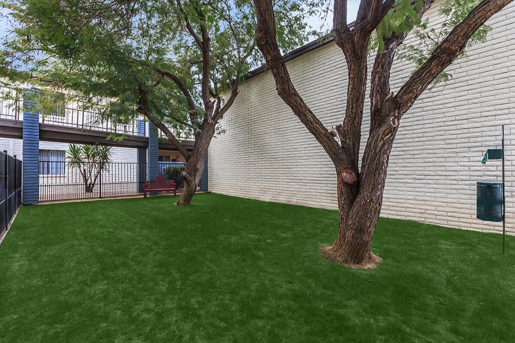 a backyard with a tree and a white building