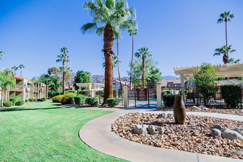 the preserve at green canyon apartments courtyard with rocks and palm trees