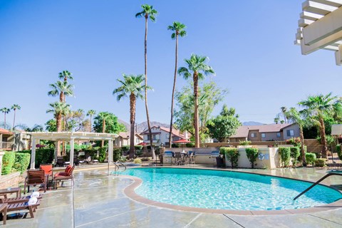 a swimming pool with palm trees