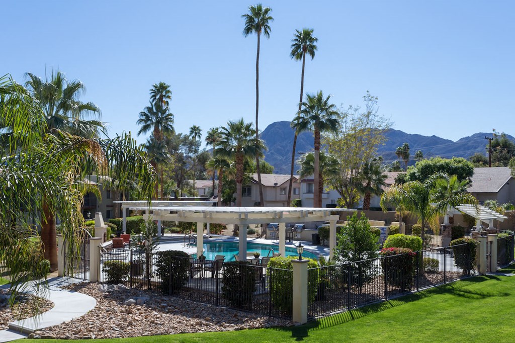 a view of the pool at the club with palm trees