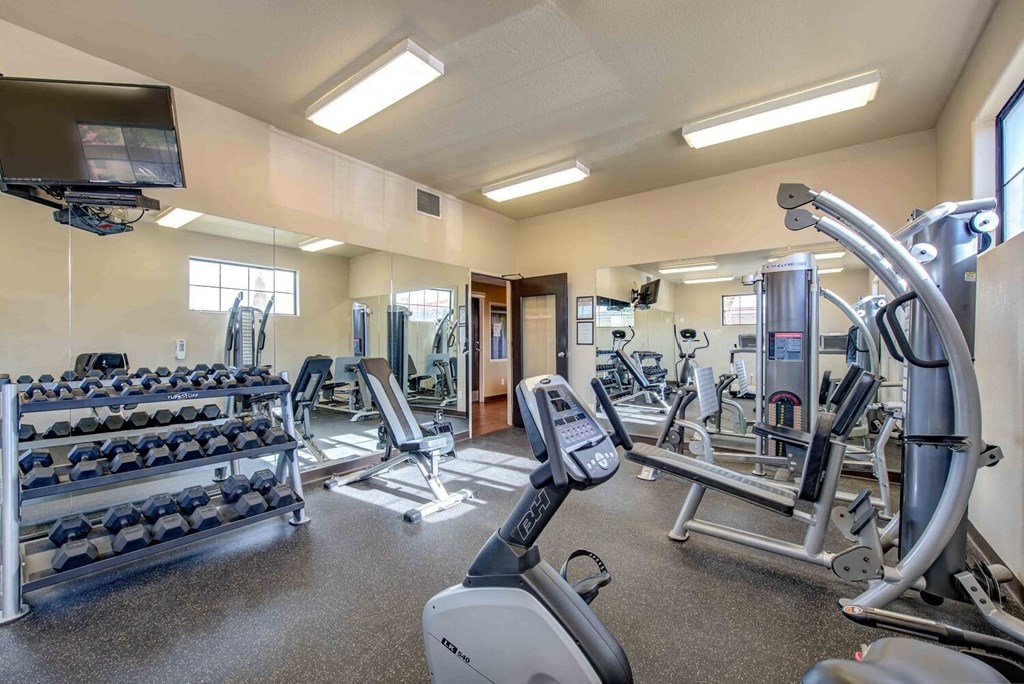 a gym with cardio equipment and weights on the floor