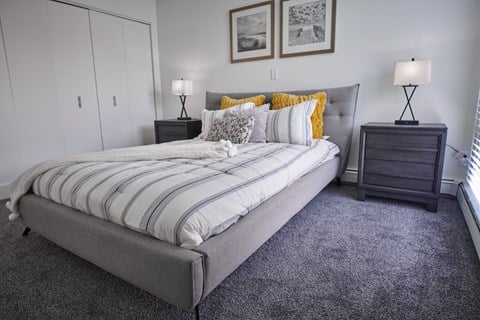 a bedroom with gray carpet and a bed with a striped comforter