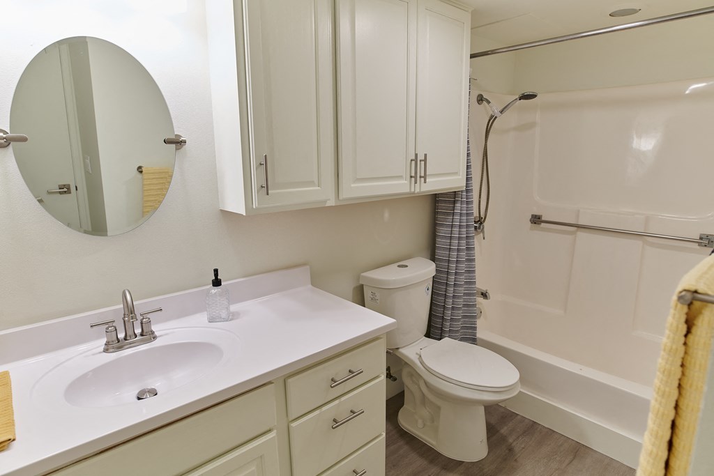 a bathroom with a sink and a toilet and a shower