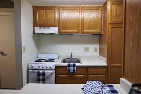 a kitchen with a sink and stove and wooden cabinets