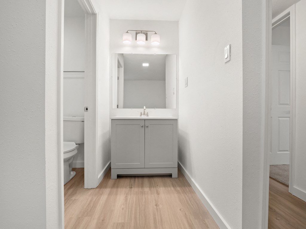 a bathroom with a sink and a mirror and a toilet