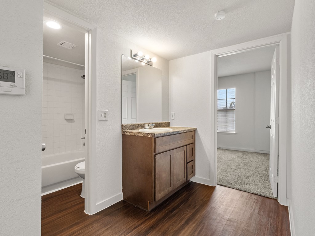 a bathroom with a sink and a mirror and a toilet