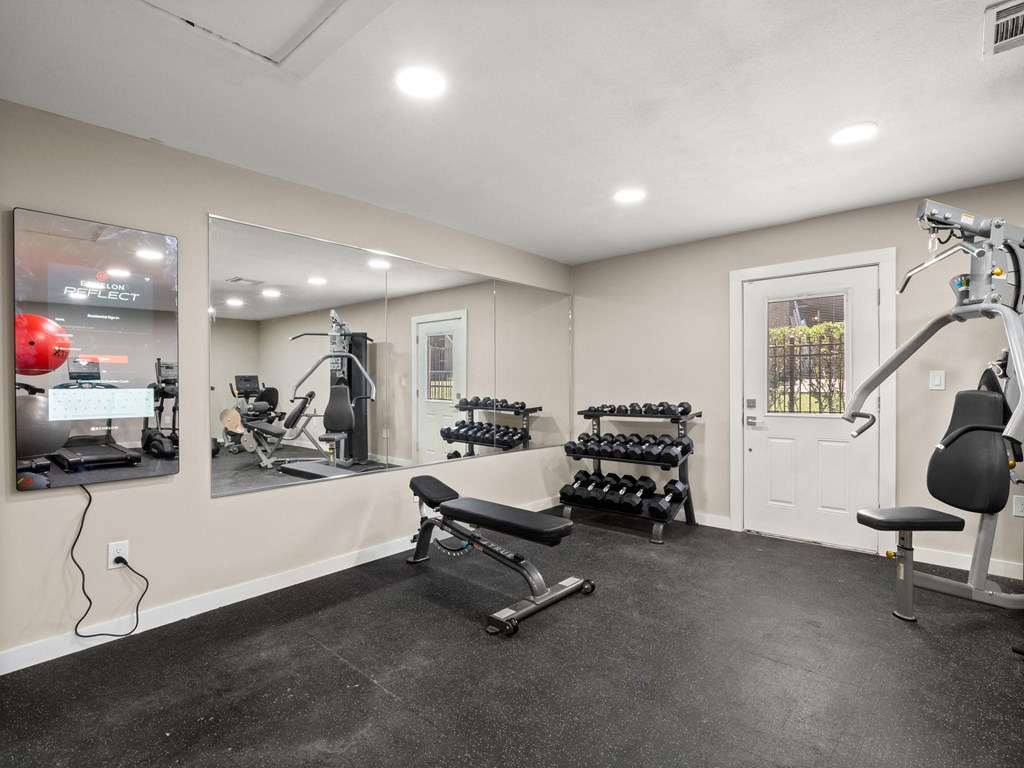the gym at 1861 muleshoe road