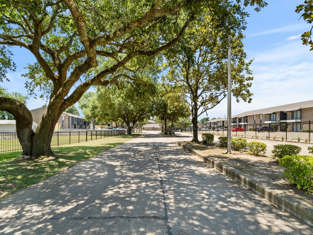 the preserve at ballantyne commons street view with trees and buildings