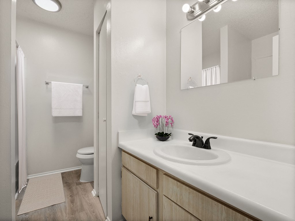 the preserve at ballantyne commons apartment bathroom with sink and mirror