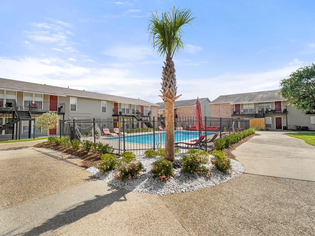 our apartments have a pool and a palm tree in front of our building