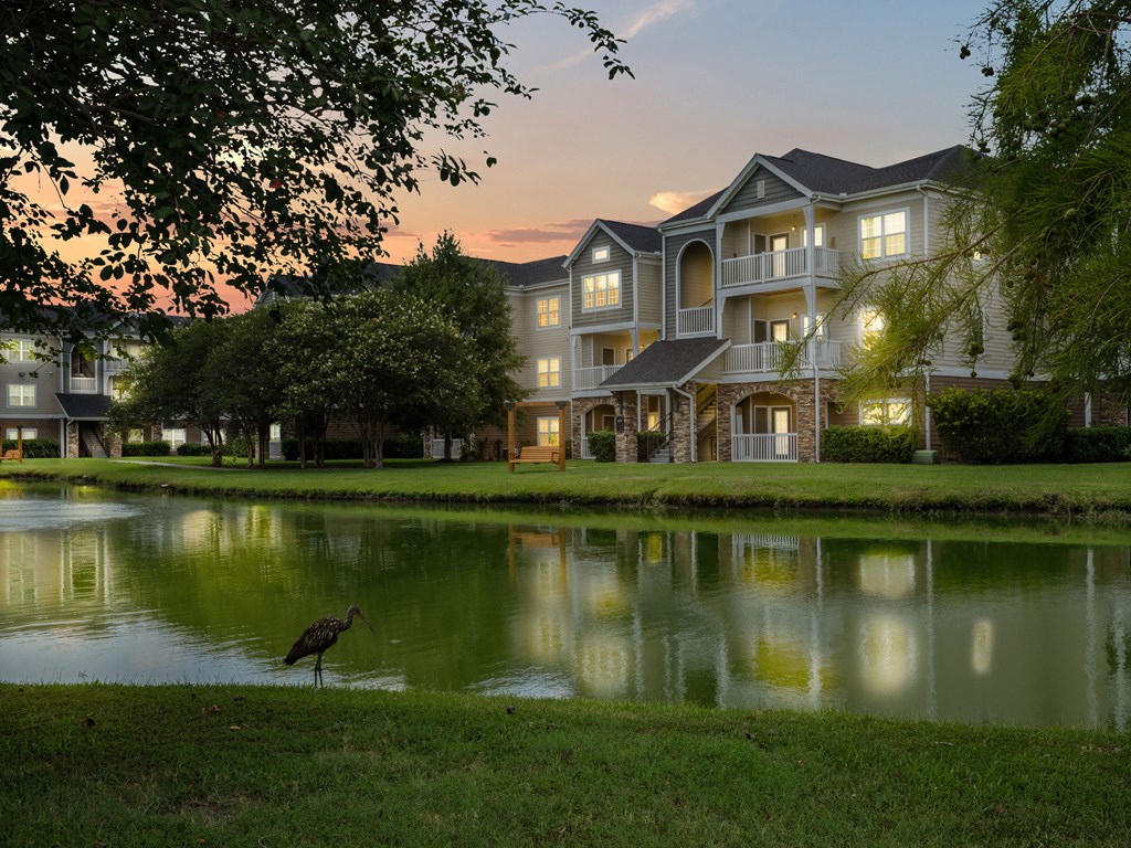 the pond at the preserve at sunset with a bird on the grass near the water