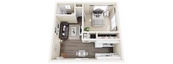 3DPlan Buena Vista 1x1 560 sq ft