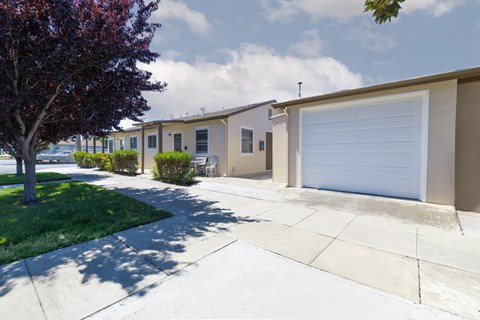 A tree with red leaves is in front of a building with a white garage door.