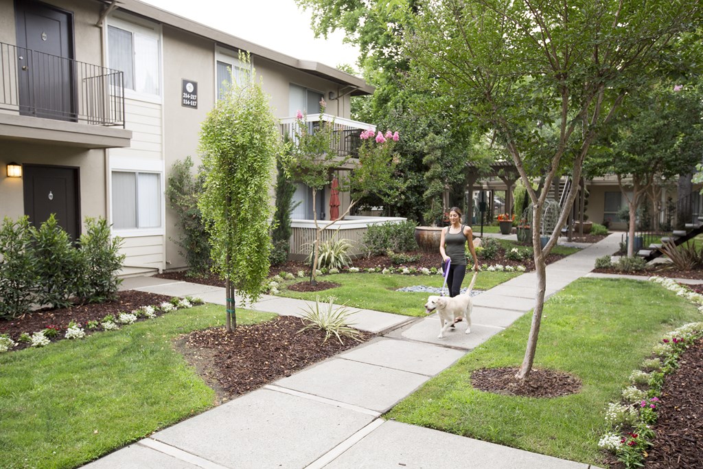 a woman walking her dog on a sidewalk in front of an apartment building