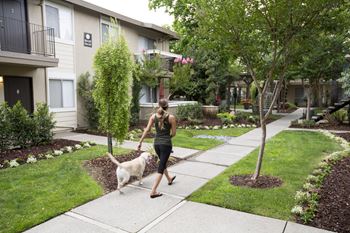 a woman walking her dog on a sidewalk at Abby Creek Apartments, Carmichael California 