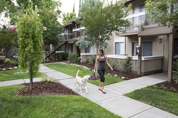 a woman walking her dog on a sidewalk in front of an apartment building at Abby Creek Apartments, Carmichael, 95608 
