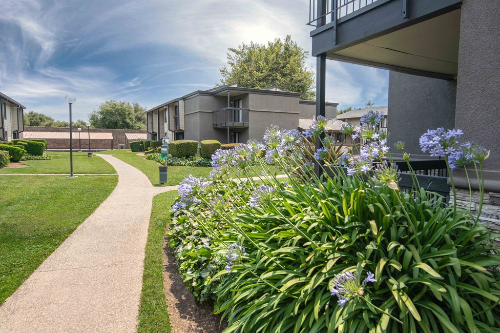 A sidewalk in front of apartment building at Rivercrest Apartments, Sacramento, CA 