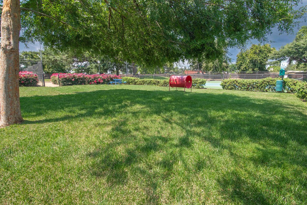Large, shaded, grassy pet areaat Rivercrest Apartments, Sacramento 