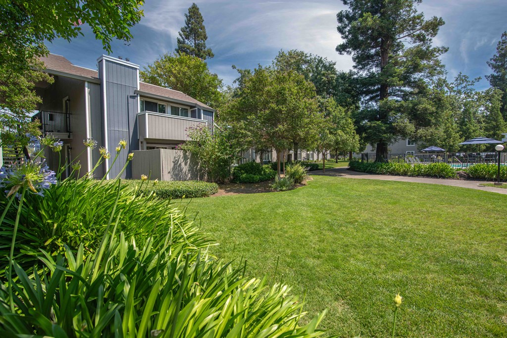 Lush green lawn in front of the apartment buildings at Willow Grove Apartments, Sacramento, CA 95825