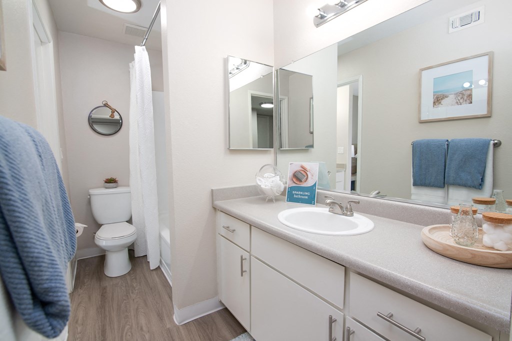 model apartment bathroom with a sink and a mirror and a toilet at Willow Grove Apartments, Sacramento California