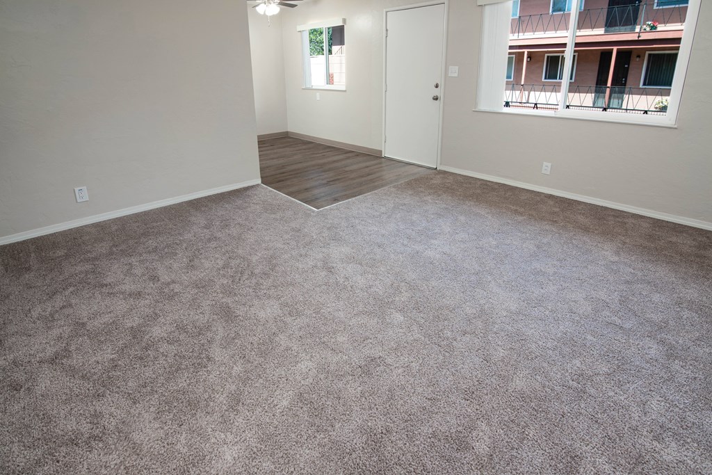 Model living room with carpet and a window