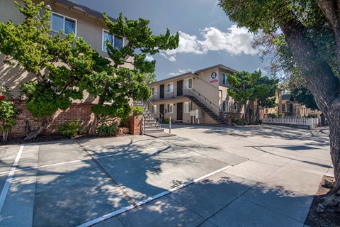 A sunny day in a residential area with houses and trees.