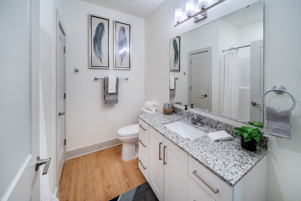 a bathroom with a large mirror and a sink and a toilet