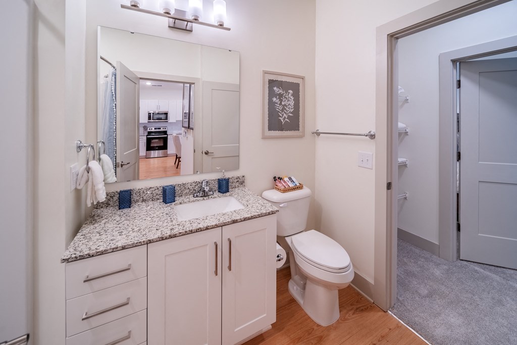 a bathroom with a toilet and a sink and a mirror