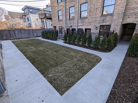 Common Area Backyard