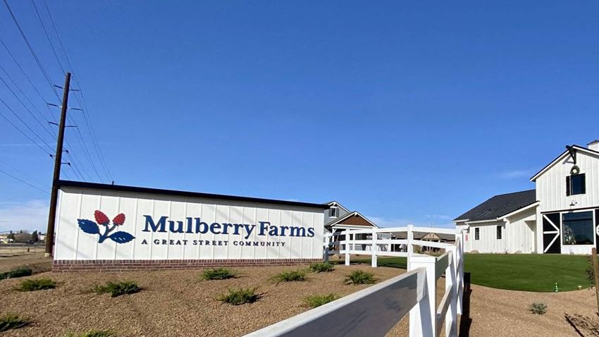 Mulberry Farms