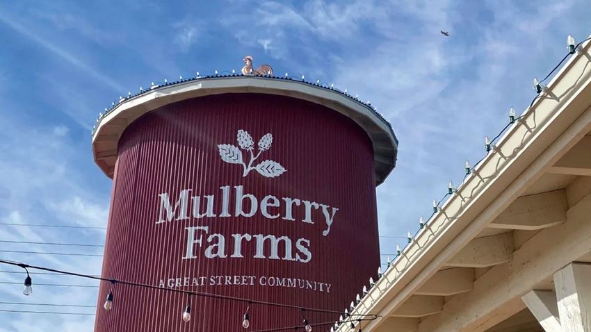 Mulberry Farms
