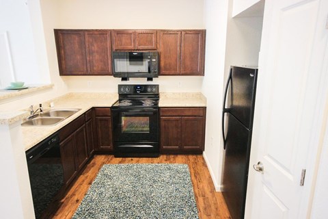 A kitchen with a black refrigerator and black oven.