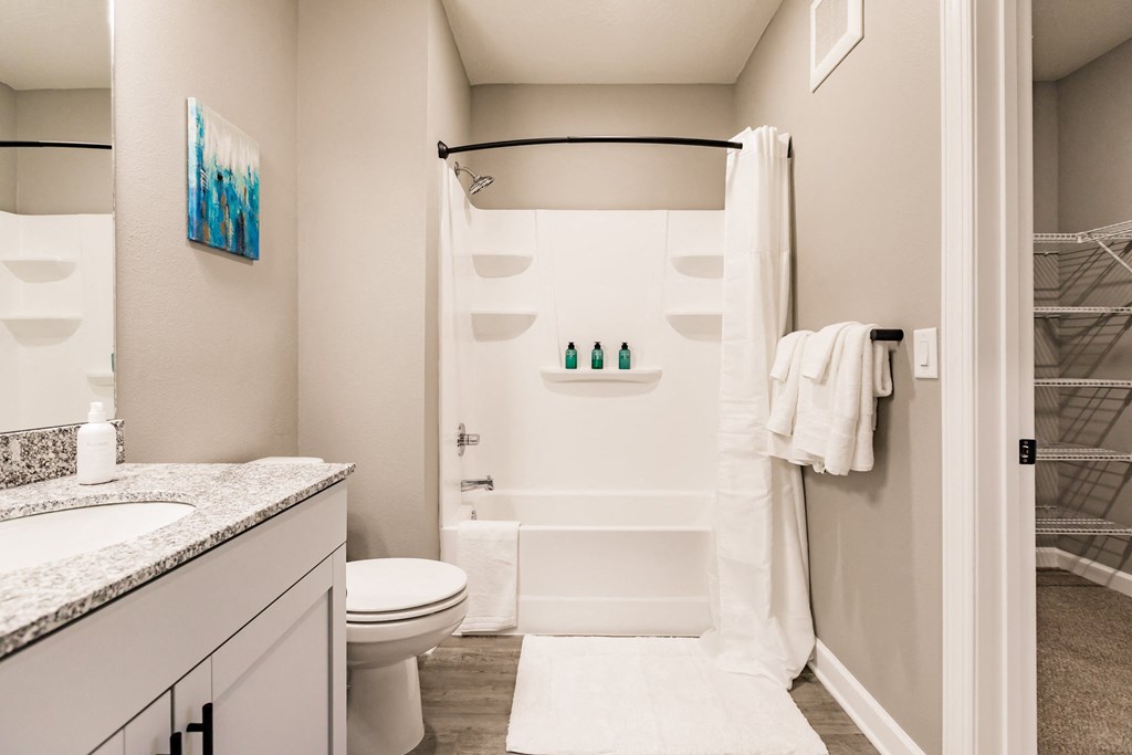 a bathroom with a shower and a toilet and a sink