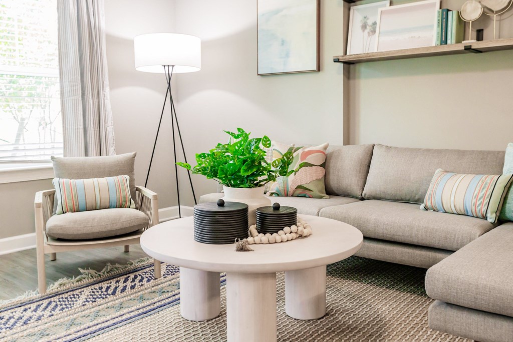 a living room with couches and a coffee table with a plant