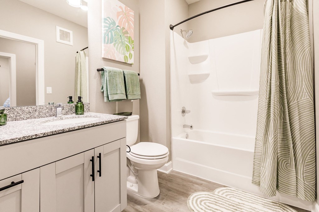 a bathroom with a shower and a toilet and a sink