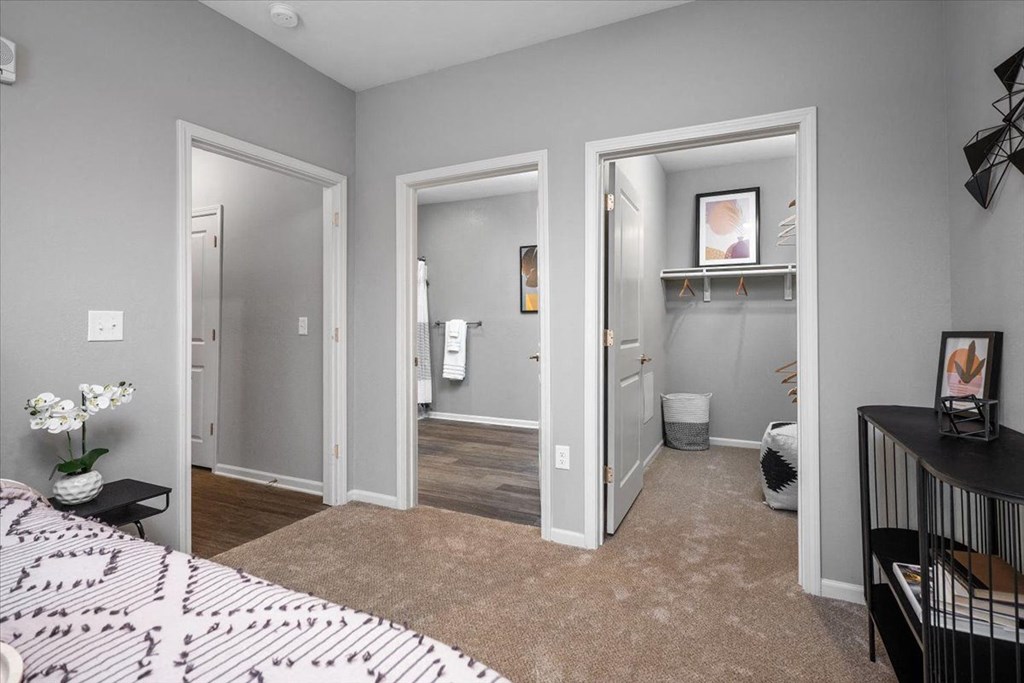 a bedroom with three doors open to a bathroom and a closet