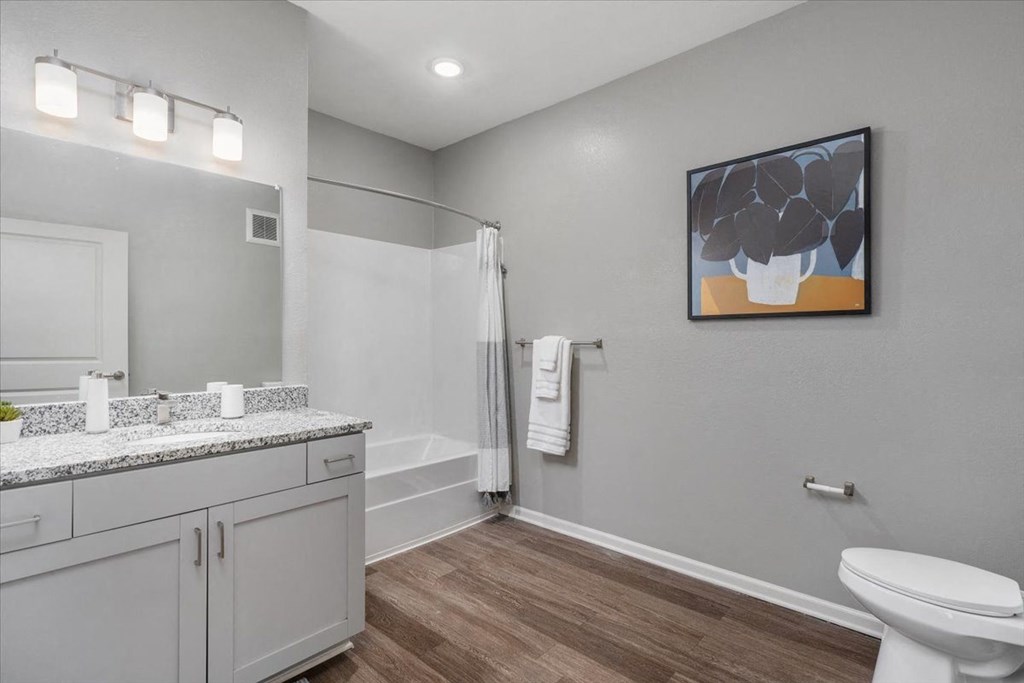 a bathroom with a sink and a toilet and a shower