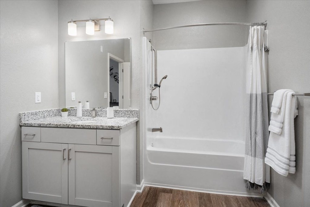 a bathroom with a shower and a sink and a mirror