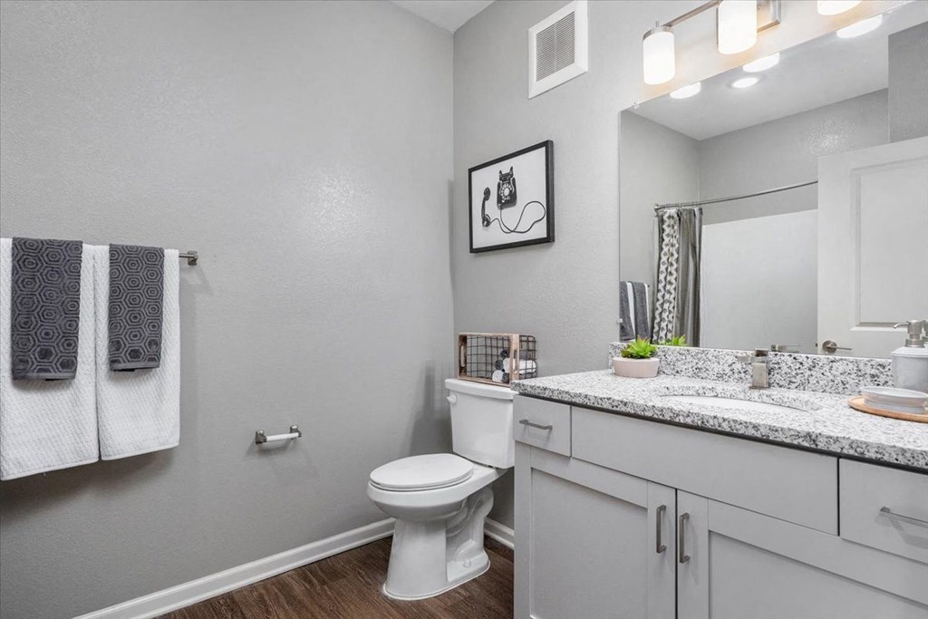 a bathroom with a toilet and a sink