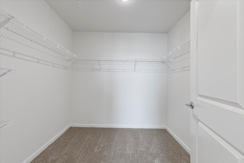 Empty room with white walls and carpeted floor.