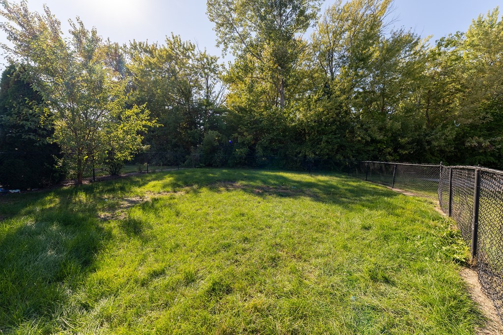 A sunny day in a green backyard with a fence.