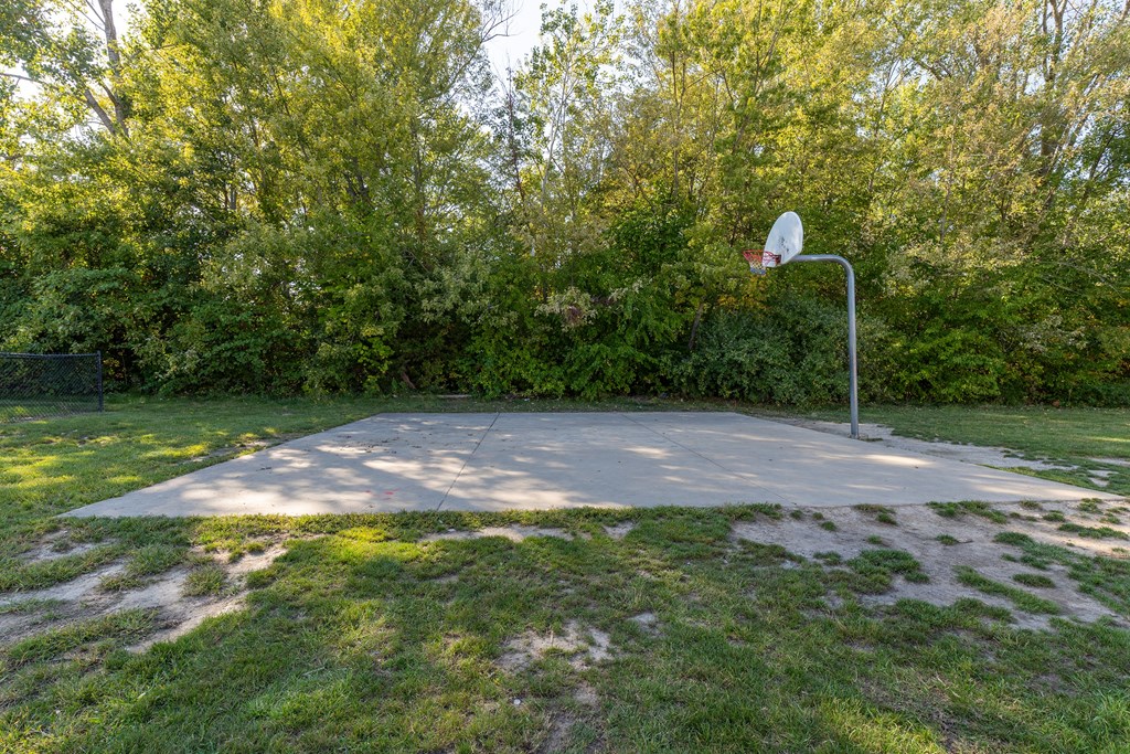A basketball court surrounded by trees.